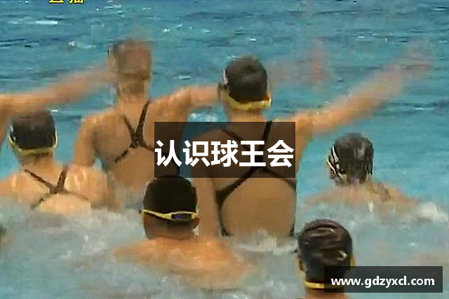 认识球王会